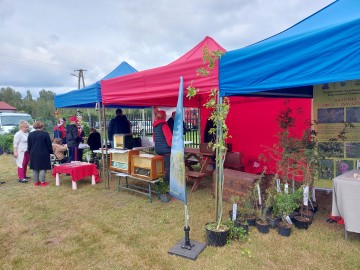 Relacja - Piknik „Skarbnica inicjatyw” w Budach Kałkach, 